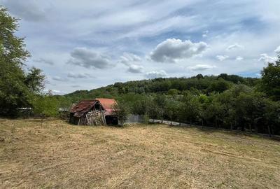 RECO Casa batraneasca cu teren generos la Lupoaia -Holod - 22