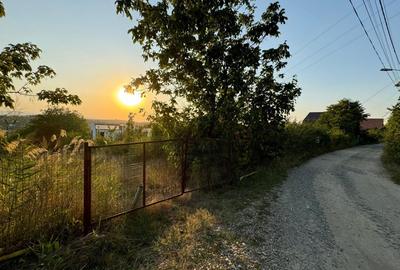 Vanzare Teren Intravilan Barnova 1027 mp