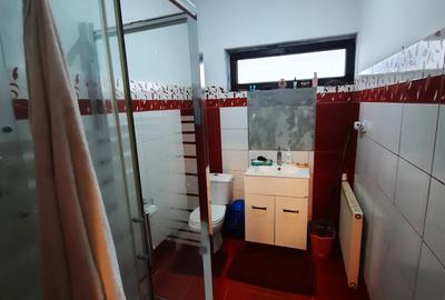 Casa individuala 4 camere in Salicea, 198 mp utili, teren 600 mp - 7