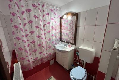 Apartament spatios de vanzare in GRUI - Campulung - 9