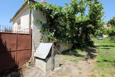 Casa de vanzare la tara - 5