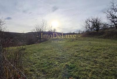 Teren extravilan langa lac, 8500mp, priveliste, acces, utilitati, zona Baciu - 5