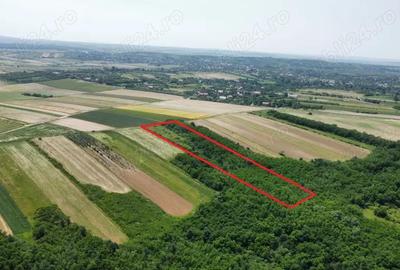 Teren de 15740 mp, în Central - 3