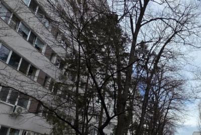 Apartament cu 2 camere semidecomandat, mobilat în Gorjului - 16