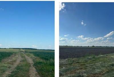 Teren extravilan, Valea Dragului, jud Giurgiu - 3035284 - 1