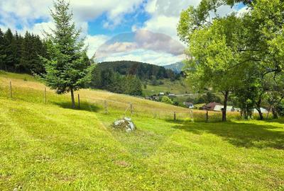 Teren de vis in Fundata 1934mp sau 3868mp, la inal?im... - 15