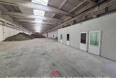 Hale noi in Baicoi, Ph--13.000mp--3e - 10