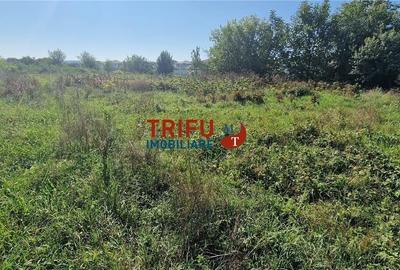 Teren intravilan construibil 472 mp zona Cetate Teren intravilan construibil 472 mp zona Cetate - 2