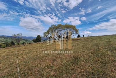 Teren de 40000 mp, în Central - 11