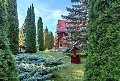 Vila de Vânzare în Poiana Brașov - 5