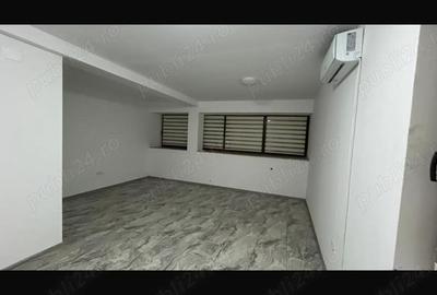Spațiu comercial, de 140 mp, în Micălaca - 3
