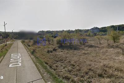 Spațiu comercial, în Sticlăria - 4
