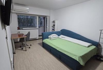 Garsonieră în Muncii - 2