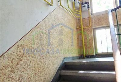 Apartament cu 4 camere în George Enescu - 3