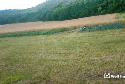 Teren Corpadea, intravilan, pretabil proiect imobiliar, 8700 mp - 3