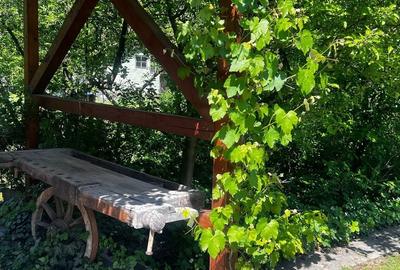 Ocazie unică! Casă de vânzare în stațiunea Covasna! - 27