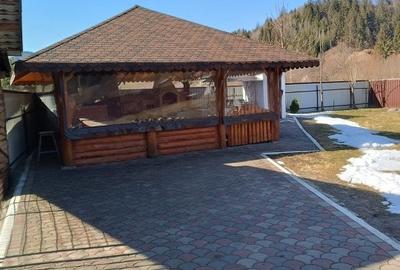 Casa individuala, teren 5200mp, oportunitate de investitie, Brodina - 13