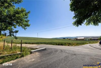 Spațiu comercial, în Măieruș - 15