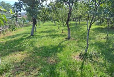 Vand casa in Petre?ti Alba - 5