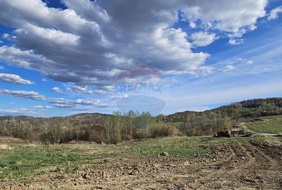 Teren de 15000 mp, în Breaza