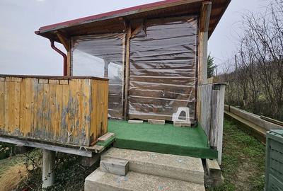 Casă cu 2 camere în Podgoria - 4