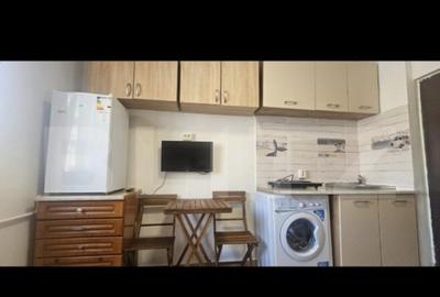 Inchiriere camere de camin cu baie, cocheta, zona Astra - 7