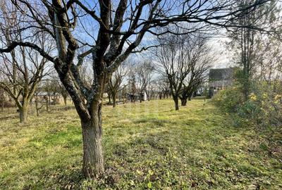 Teren intravilan 1.915 mp + cabană din lemn | Tocile – Sadu - 9