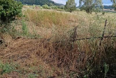 Vand Casa situat in Uleacu ?imleului - 8