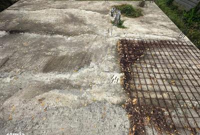 Spațiu comercial, în Central - 1