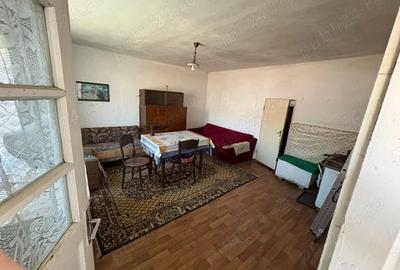 Casă cu 4 camere cu Teren 1250 Mp în Valea Crișului - 2