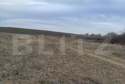 Teren intravilan industrial, 14458mp, centura de Est - 10