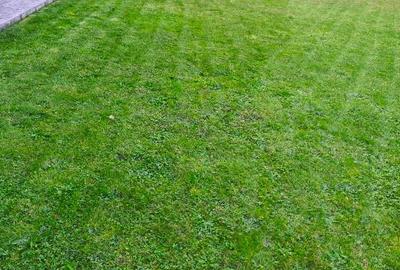 PROPIETAR super vilă de vis - 2