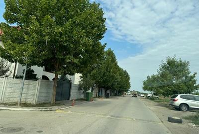 Vanzare Teren Rezidentiak  Magurele 5000mp - 1