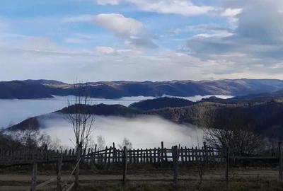 Teren de 2000 mp, în Dobra - 1