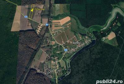 Teren de 35000 mp, în Bălteni - 2