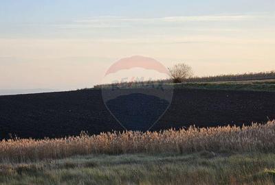 Teren de 30077 mp, în Stroiești - 3