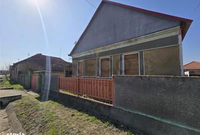 Casă cu 3 camere cu Teren 3309 Mp în Husasău de Tinca - 8