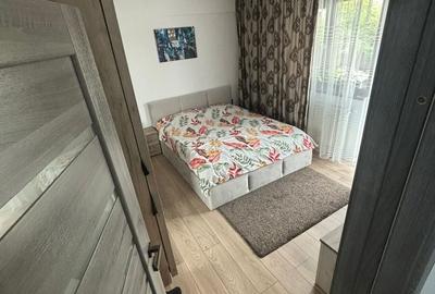 Apartament cu 3 camere în Bariera Vâlcii - 4
