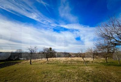 Teren de 2100 mp, în Feleacu - 3