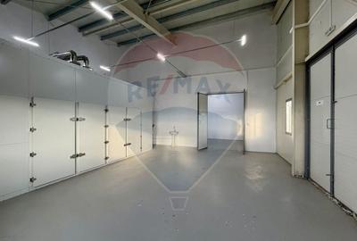 Spațiu industrial, de 700 mp, în Piscu - 5