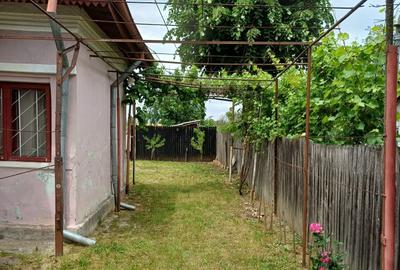 Casă cu 3 camere în Aluniș - 3