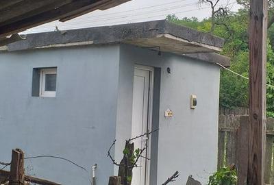 Casă cu 3 camere cu Teren 1700 Mp în Izvoarele - 8