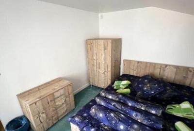 Cabana cu 4 dormitoare, foisor, ciubar, Statiunea Muntele Ba - 2