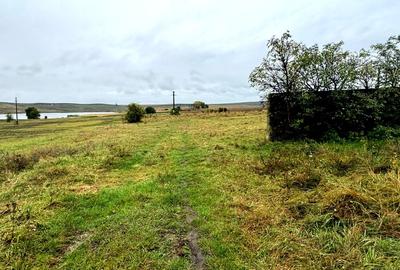 Vanzare 10.000 mp teren Liteni Suceava- la strada -potrivit proiect fonduri - 4