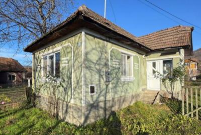 Oportunitate investitie in Casa familiala - 1