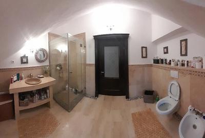 Domeniu  in Prahova- probabil una dintre cele mai frumoase reședințe - 26