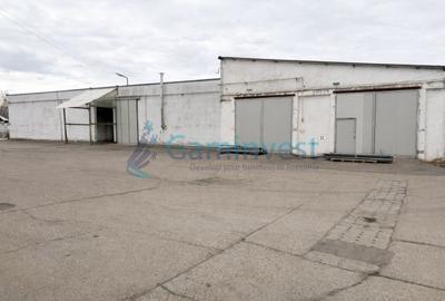 Spațiu industrial, de 390 mp, în Exterior Vest - 3