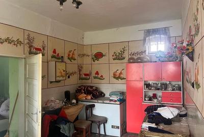 Vând cotă de 85% casă bătrânească -Com. Liebling - 11