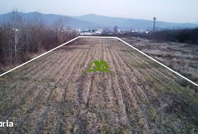 Teren de 3350 mp, în Mihăești - 11
