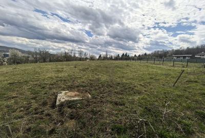 Teren de 980 mp, în Central - 2